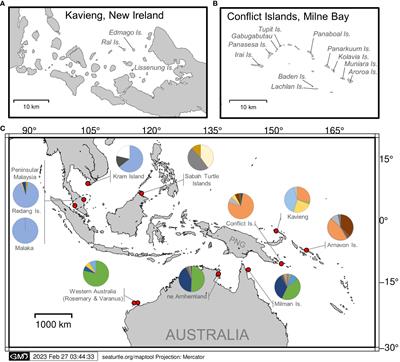 From rookeries to foraging grounds: understanding regional connectivity and genetic diversity in hawksbill turtles